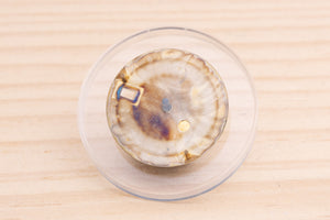 Rolex Champagne Date dial for model 15013 - 15233 FCD15098