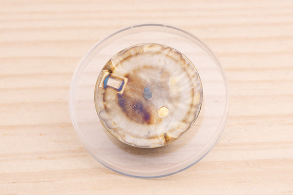 Load image into Gallery viewer, Rolex Champagne Date dial for model 15013 - 15233 FCD15098
