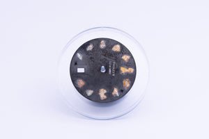Rolex Deep Sea Maxi Marker Dial Chromalight model 116660 FCD17269