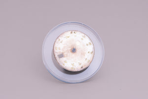 Rolex Date Silver stick dial some spotting  w/ hands for model 1500 FCD17568