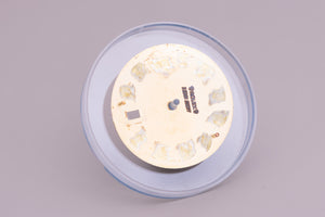 Rolex Mens Datejust New Style Champagne Lumi Stick Dial for 116233 FCD18142