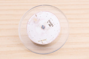 Rolex Silver Stick marker Dial for model 15200 FCD20365