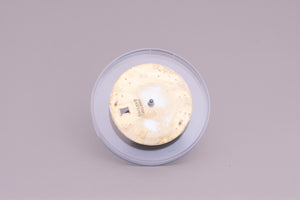 Rolex Mens Datejust New Style Lumi Champagne Stick Dial for 116233 FCD23595