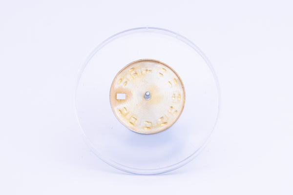 Load image into Gallery viewer, Rolex Ladies Champagne tropical Dial for model 69173 FCD24352
