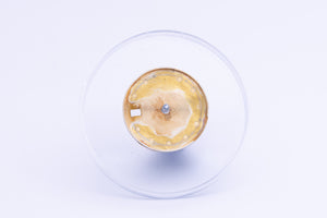 Rolex Champagne Diamond Dial ( Tropical Fade ) for 69173 FCD24408