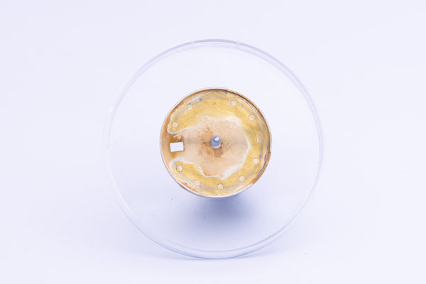 Load image into Gallery viewer, Rolex Champagne Diamond Dial ( Tropical Fade ) for 69173 FCD24408
