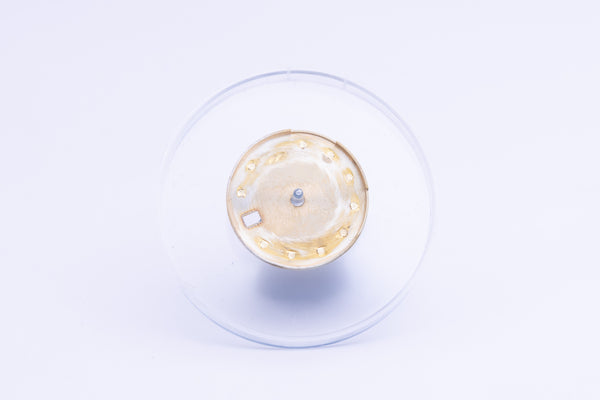 Load image into Gallery viewer, Rolex Champagne Diamond Dial ( Tropical Fade ) for 69173 FCD24427
