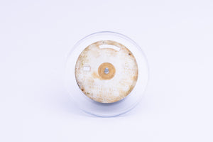 Rolex Day-Date Champagne stick ( Spotted ) Dial for 18038 - 18078 FCD24469