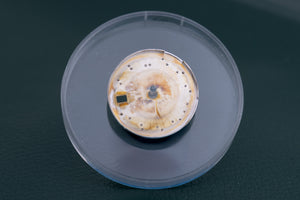 Rolex Datejust Rhodium Roman dial for model 69174 - 79174 FCD27278