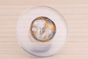 Rolex Ladies Champagne Roman Dial for 69173 - 79173 FCD27493