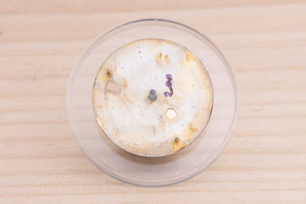 Load image into Gallery viewer, Rolex Datejust Champagne Tapestry Stick dial for model 16013 - 16233 FCD28004
