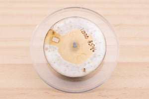 Rolex Datejust Champagne Tropical Stick Dial for model 16013 - 16233 FCD29082
