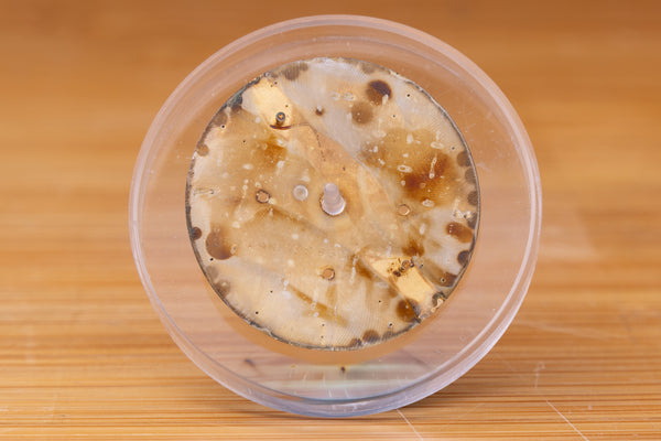 Load image into Gallery viewer, Rolex Daytona Champagne Stick Inverted 6 Dial for 16523 - 16528 FCD29411
