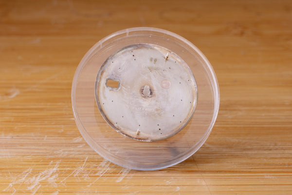 Load image into Gallery viewer, Rolex Silver stick marker dial for model 1601 - 1603 FCD29428
