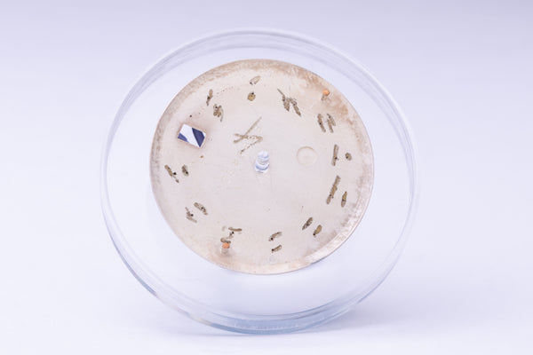 Load image into Gallery viewer, Rolex Datejust Silver Stick Dial claw markers for model 1601 FCD29913
