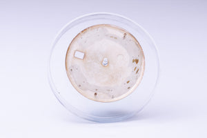 Rolex Silver stick marker dial for model 1601 - 1603 FCD29955