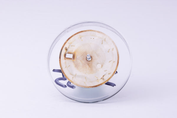 Load image into Gallery viewer, Rolex Datejust Silver Stick dial for model 16014 - 16030 FCD30255
