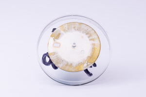 Rolex Datejust Silver Stick dial for model 16014 - 16030 FCD30260