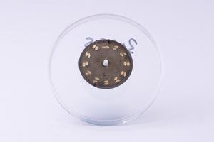 Rolex Oyster Perpetual slate dial for model 6719 FCD30285