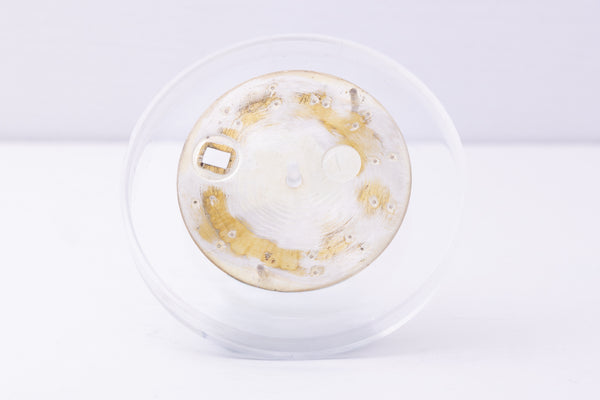 Load image into Gallery viewer, Rolex Date Silver Fat 6-9 Index Dial for model 1500 FCD30399

