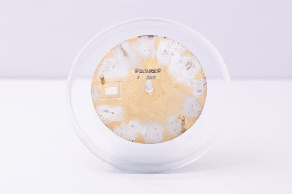 Load image into Gallery viewer, Rolex Mens Datejust Champagne Concentric Arabic Dial for 116234 - 116200 FCD30409
