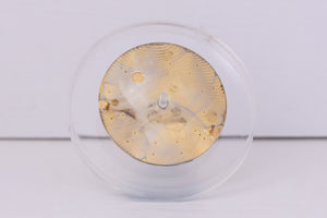 Rolex Oyster Perpetual Champagne Stick dial for 14233 FCD30466