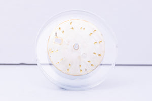 Rolex Datejust Silver Stick dial for 16234 FCD30590