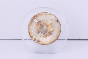 Rolex Date Champagne stick dial for model 1500 FCD30699