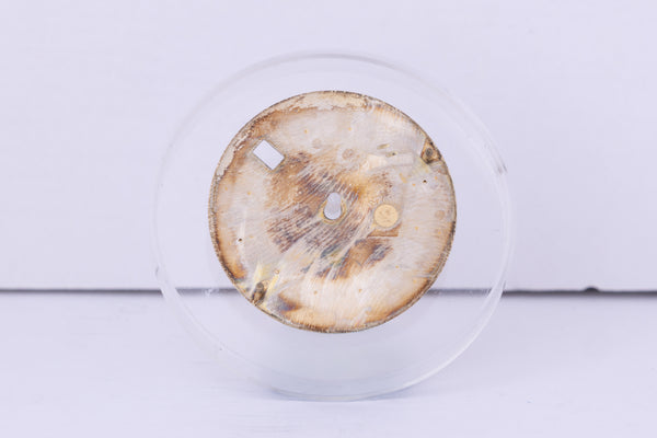 Load image into Gallery viewer, Rolex Date Champagne stick dial for model 1500 FCD30699
