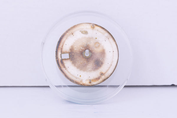 Load image into Gallery viewer, Rolex Date silver stick dial for model 1500 FCD30702

