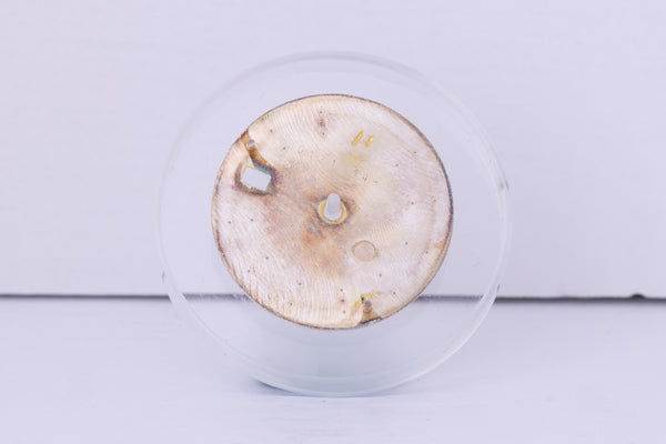 Load image into Gallery viewer, Rolex Date silver stick dial for model 15000 - 15200 FCD30705
