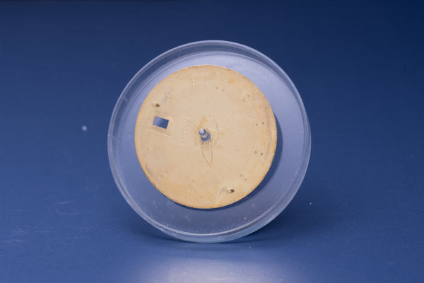 Load image into Gallery viewer, Rolex Datejust Champagne Stick Dial for model 116233 FCD30920
