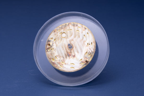 Load image into Gallery viewer, Rolex Faded Silver Stick Airking dial for model 14000 - 14000M FCD30950
