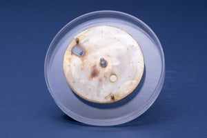 Rolex Date silver stick dial for model 15000 - 15200 FCD30971