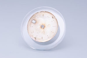Rolex Datejust Silver Stick Marker dial for 1601 - 1603 FCD31065