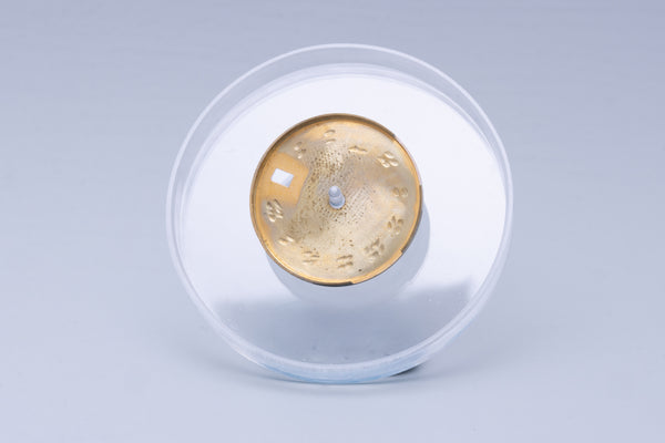 Load image into Gallery viewer, Rolex Datejust Ladies Skinny White roman dial for 69174 FCD31071
