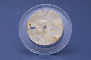 Rolex Datejust Champagne Stick Dial for model 16013 - 16233 FCD31075