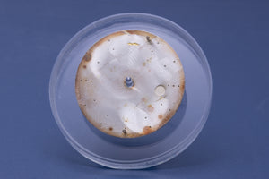 Rolex Air-King Silver Stick dial for model 5500 FCD31081