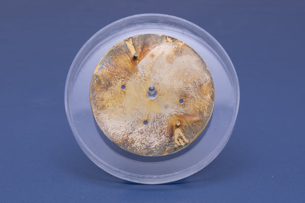Load image into Gallery viewer, Rolex Daytona Champagne Stick "Swiss Made" Dial for 16523 - 16528 FCD31307
