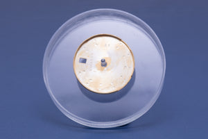Rolex Ladies Champagne Lumi Stick Dial for model 179173 FCD31322