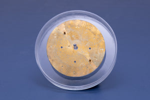 Rolex Daytona White Arabic Dial  for 16523 - 16528 FCD31345